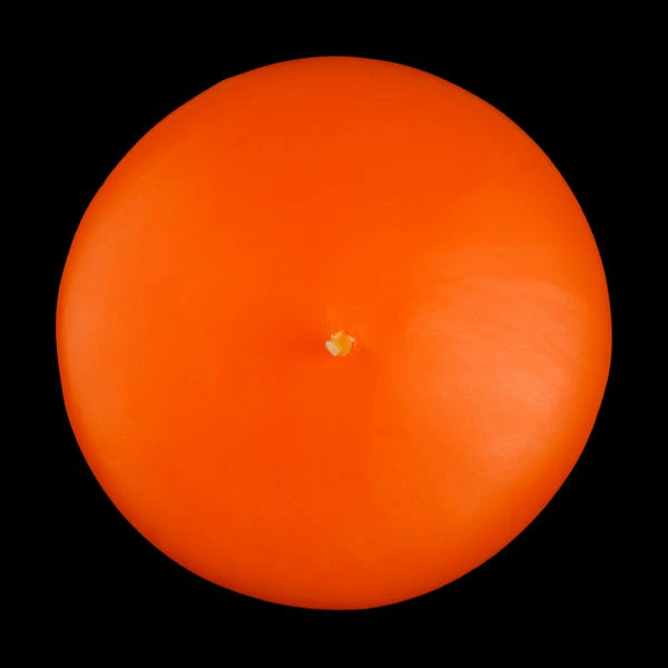 3 Inch Orange Floating Candles - Image 5