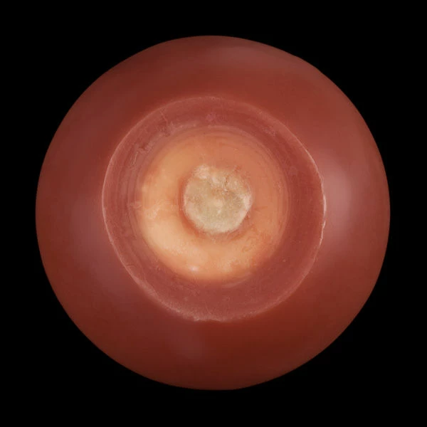 3 Inch Brown Floating Candles - Image 6