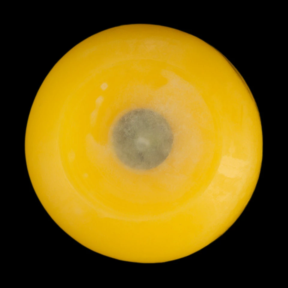2 Inch Yellow Floating Candles - Image 6