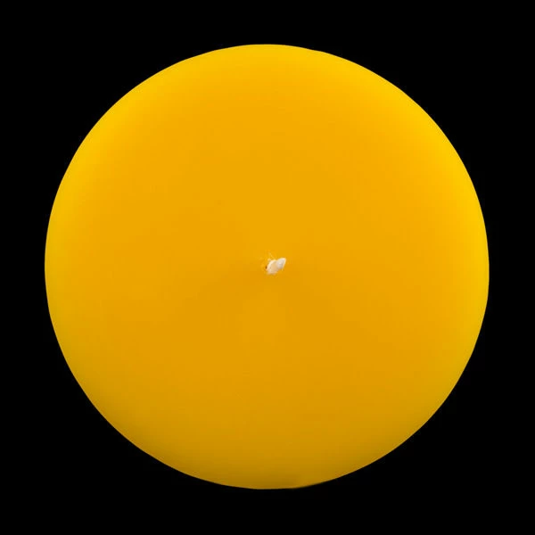 4x12 Yellow Pillar Candle - Image 10