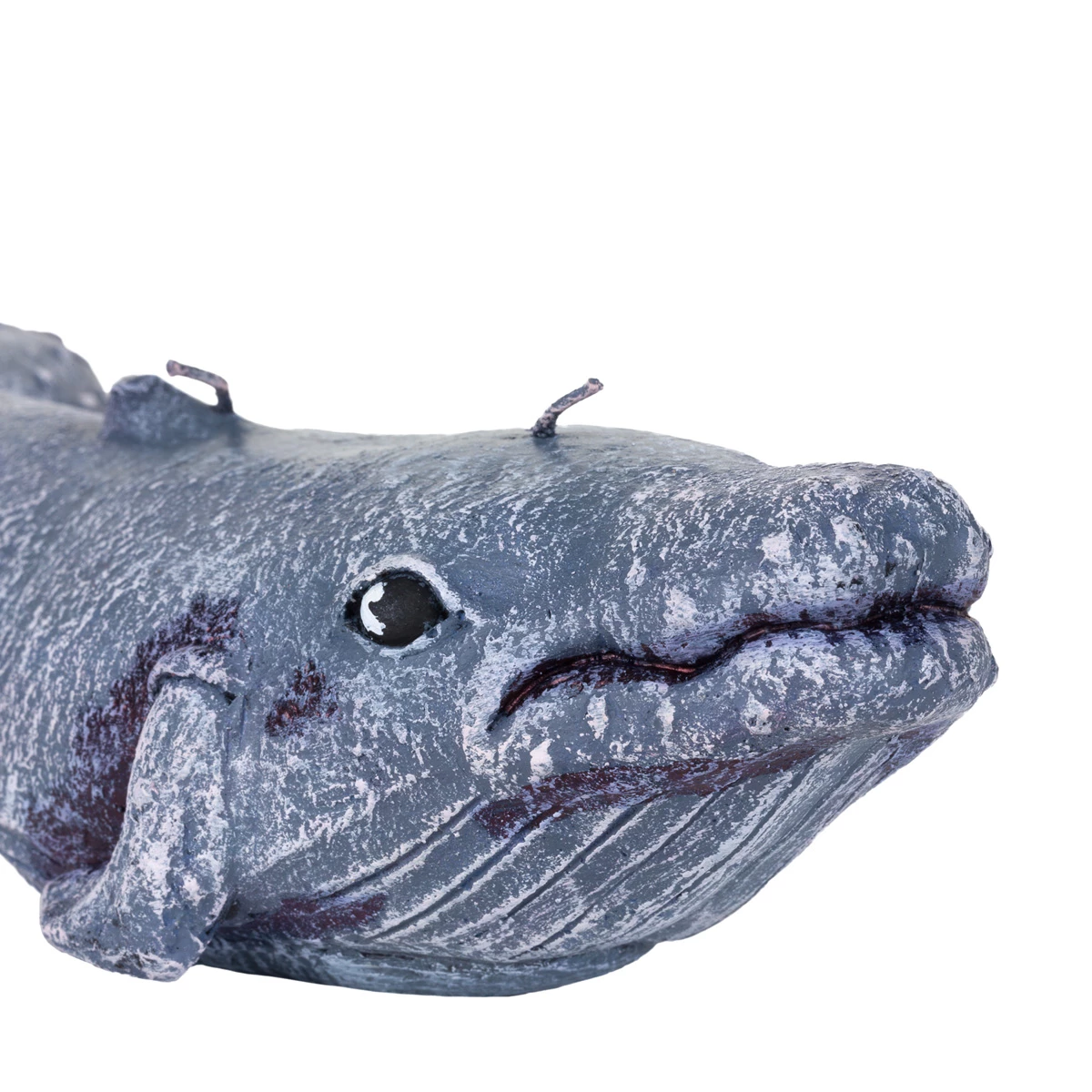 Floating Humpback Whale Floating Candle - Image 4